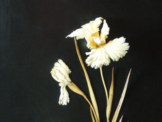 ���-������ "�������" - ����� "�����" . ����� �� ���� (������).  �010131