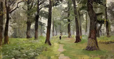 В дубовом лесу